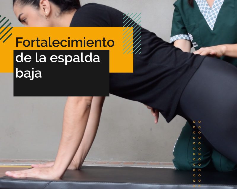 Plan de ejercicios fortalecimiento de la espalda baja: