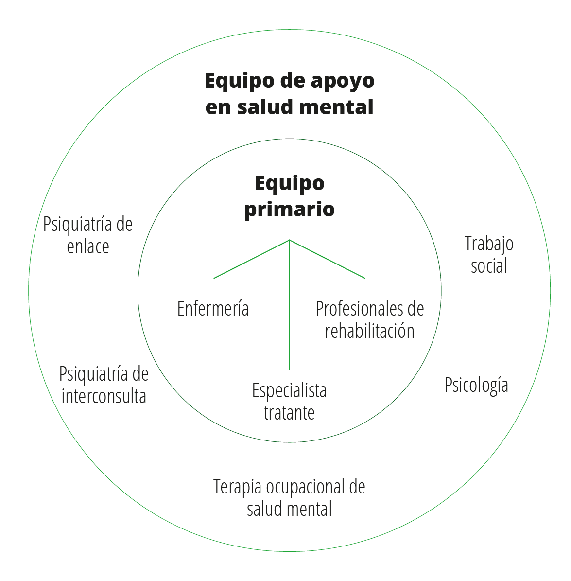 Grafico-carta-salud