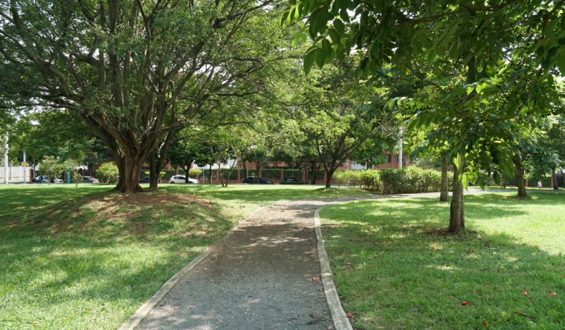 FVL presente en el 1er encuentro Nacional de Bosques Urbanos