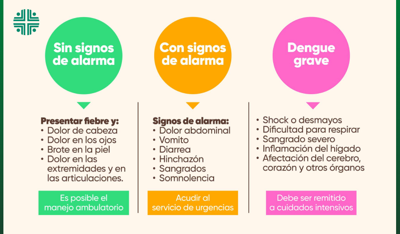 Ya está disponible la vacuna contra el dengue (3)