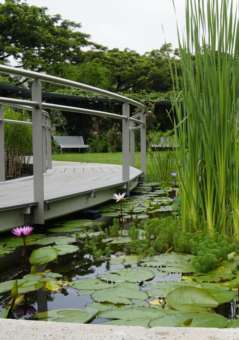 Cuidando nuestro planeta desde casa_ un compromiso por la salud (5)