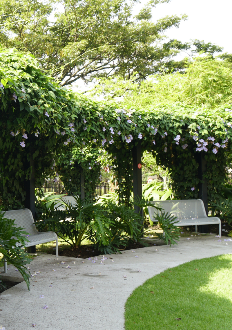 Cuidando nuestro planeta desde casa_ un compromiso por la salud (7)