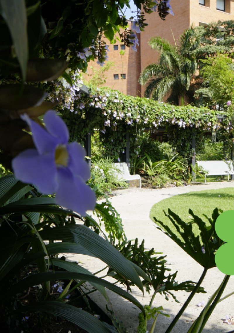 Cuidando nuestro planeta desde casa_ un compromiso por la salud (9)