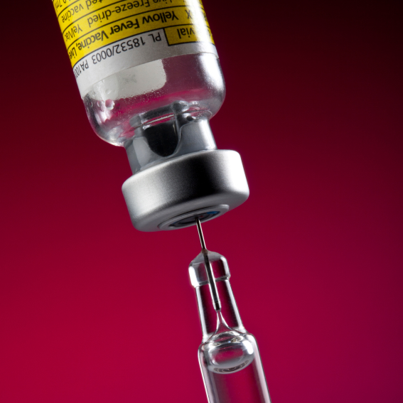 Vacuna fiebre amarilla (2)